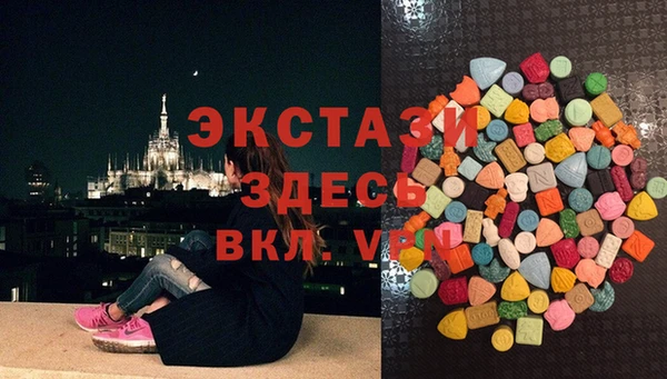 крисы Козельск