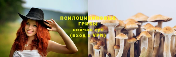 mdpv Кодинск