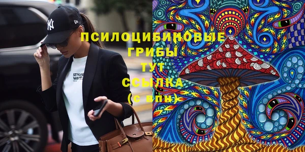 спиды Кинешма