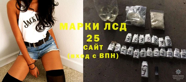крисы Козельск