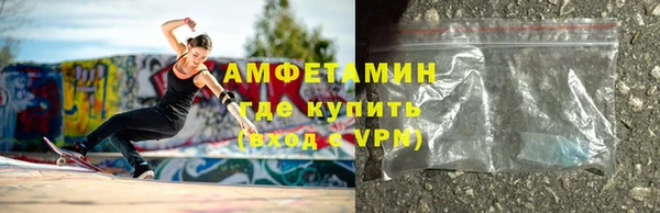 крисы Козельск