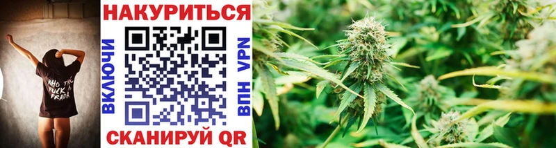 Купить где  Мегион  Бошки Шишки OG Kush 